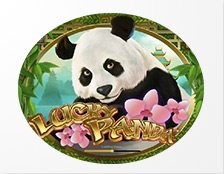 Lucky Panda Spielautomat.