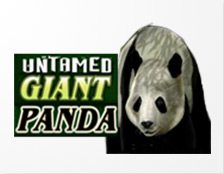 Untamed Giant Panda Spielautomat